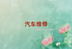 gꖌW(xu)ȥĺ
