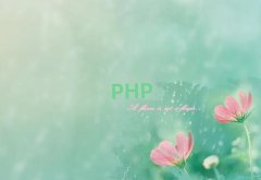 ϾWPHP_l(f)ĂWУ10