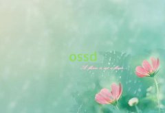 |Iӿڅ^(q)W(xu)ӢZZW(xu)ַ10