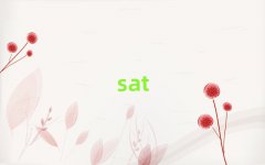 ݵW(xu)sat