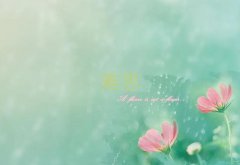 ϲieltsӖ(xn)