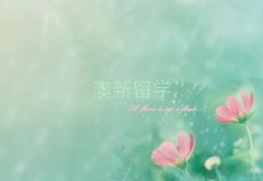 (gu)T(mn)⿿VW(xu)C(j)(gu)ַ