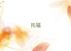 2025YꖌWtoeflŶX