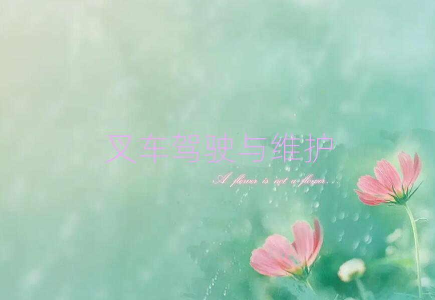 V݌W(xu)ӢZZ(bo)