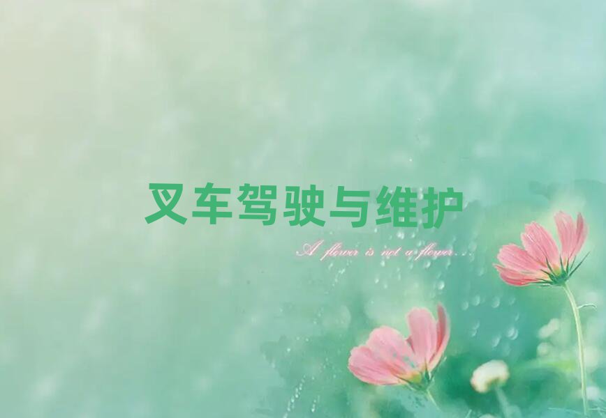 2019̰̌^(q)ھC(j){TW(xu)УӖ(xn)