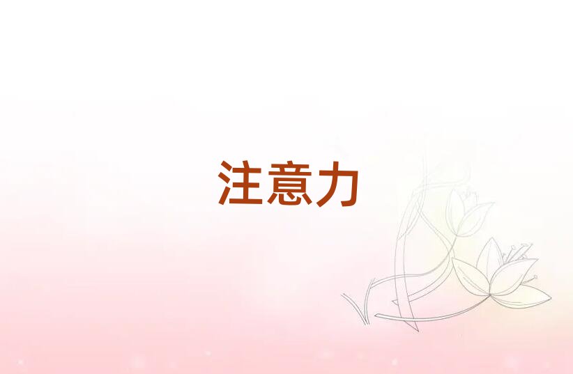 2019|ݸЌW(xu)كעߵ