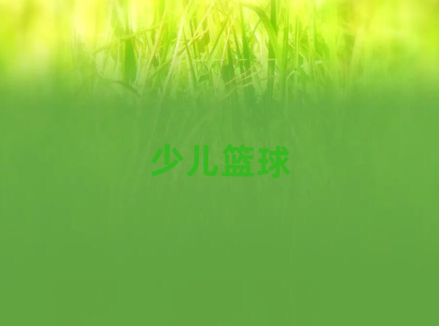 北京朝陽(yáng)區(qū)世貿(mào)天階小學(xué)生籃球