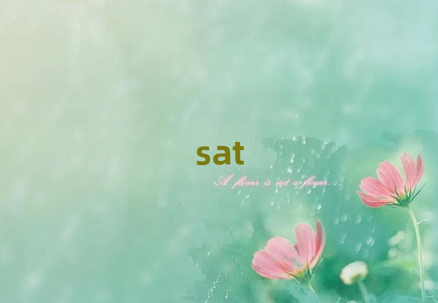 2019܌W(xu)sat