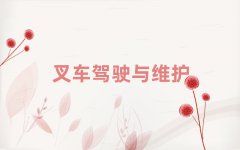 2025ꌎl(xing)õĲ܇˾CCWУ