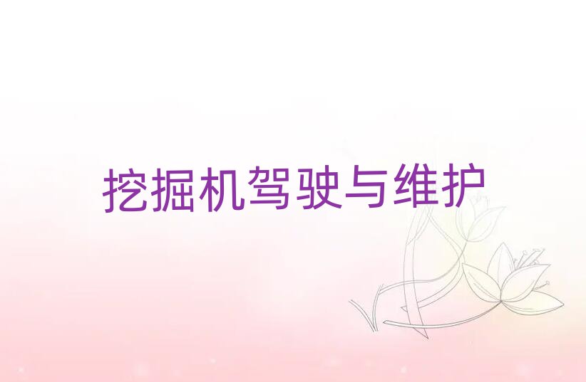 2019꺆(jin)(yng)C(j){CļӖ(xn)