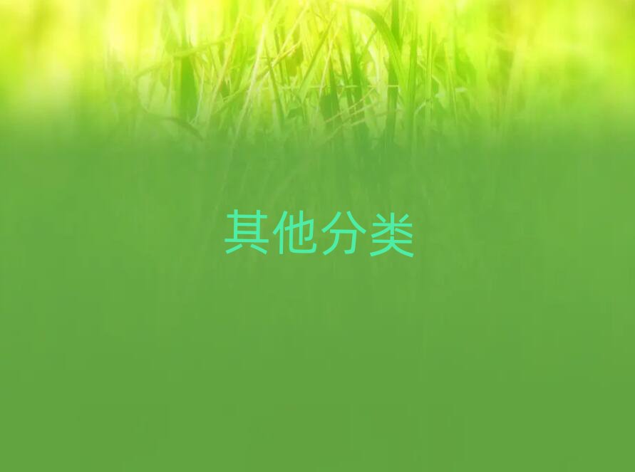 2019ϲWnoip