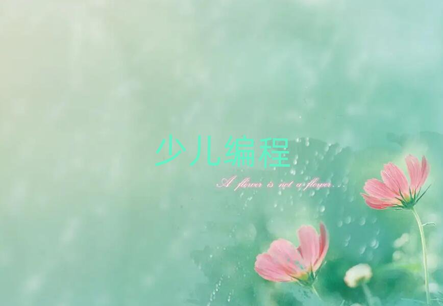 2019꺢ӾӖ(xn),ɶӾӖ(xn)