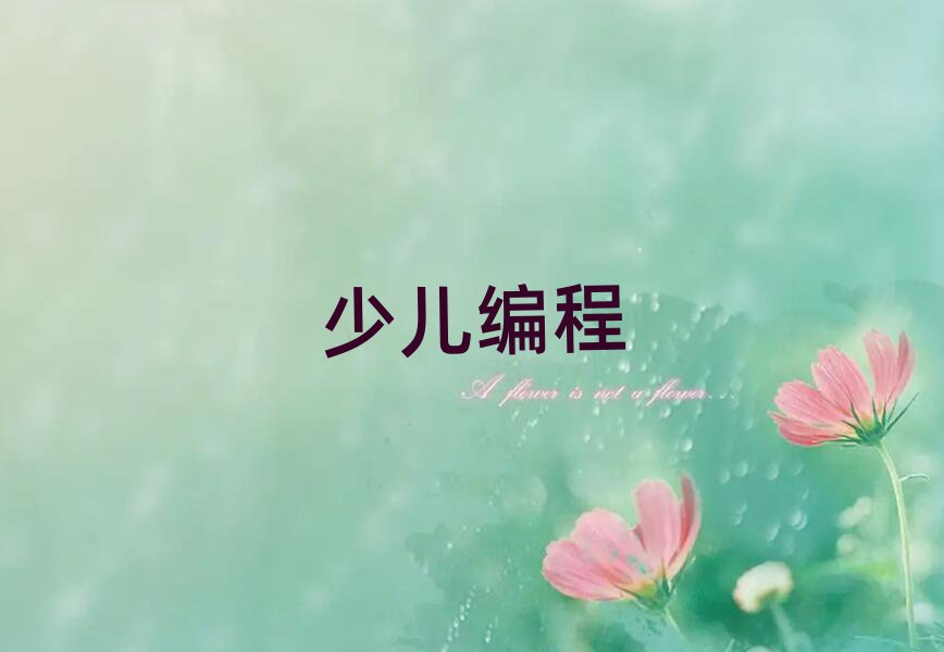 2019ϺSօ^(q)W(xu)޾
