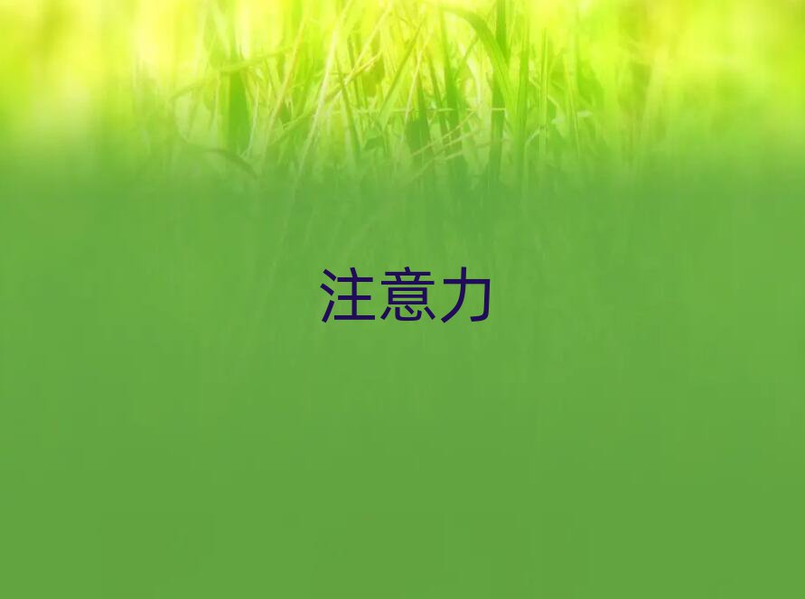 u^(q)Wע