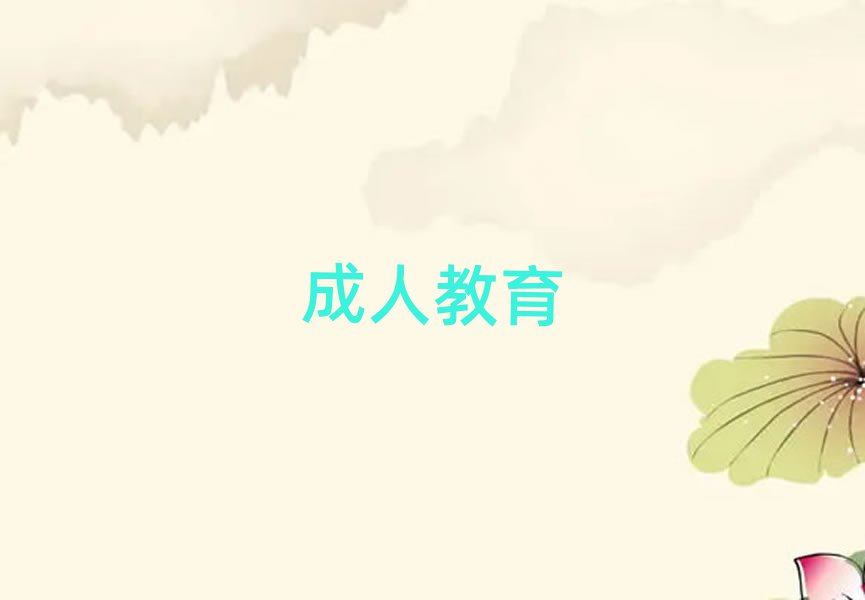 2019(j)ZW(xu)