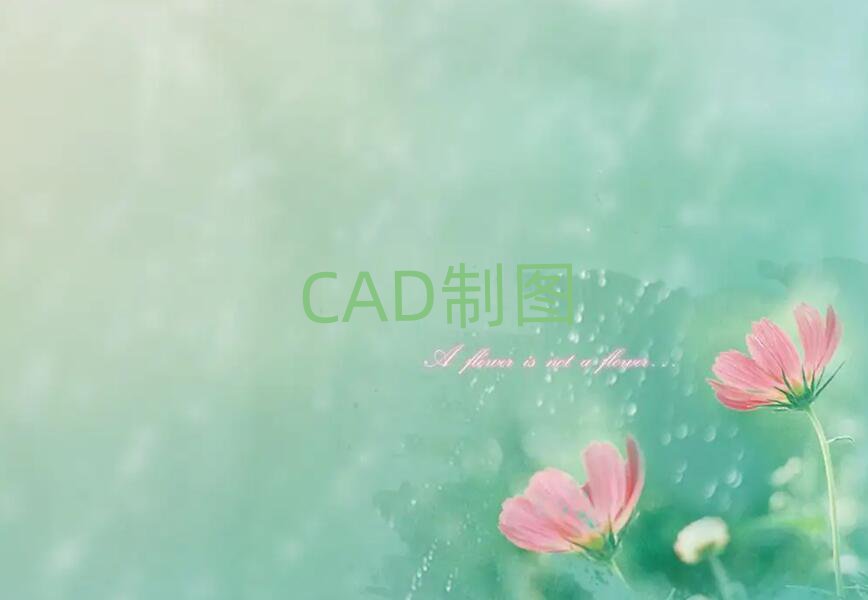 ݶ߅^(q)W(xu)V9 CADӖ(xn)