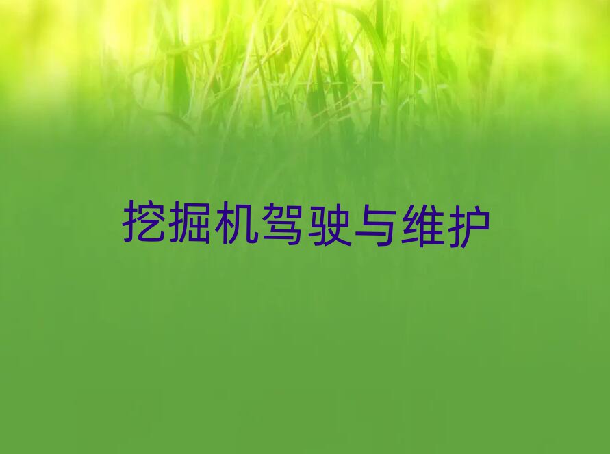 2019̰̌^(q)ھC(j)Ӗ(xn)