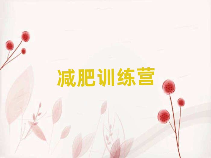 2019ݜpӖ(xn)I(yng)
