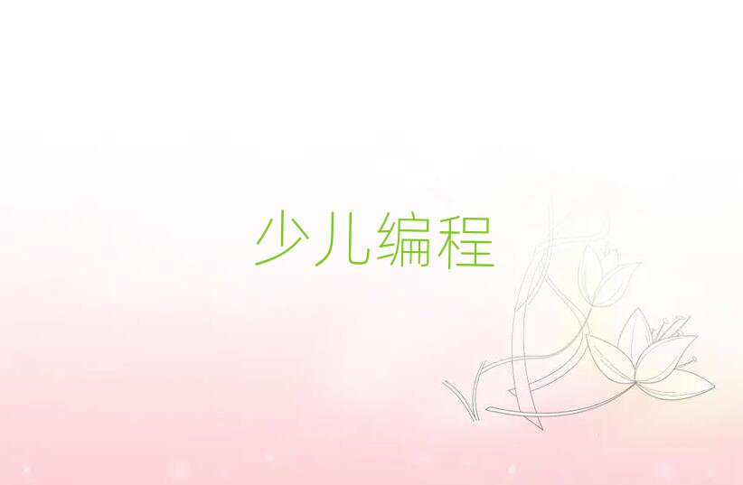 2020年武漢武昌區(qū)哪里學(xué)少兒編程比較好