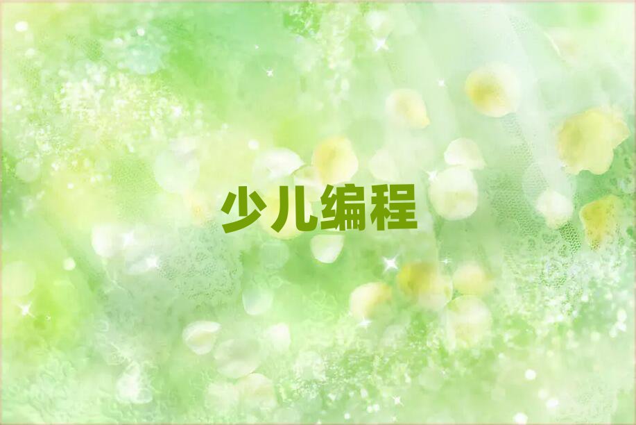 廣州海珠區(qū)學習少兒學noip編程的學校