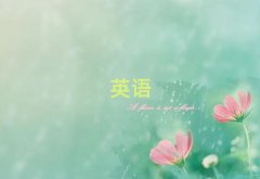2025(zhn)sat(bo)