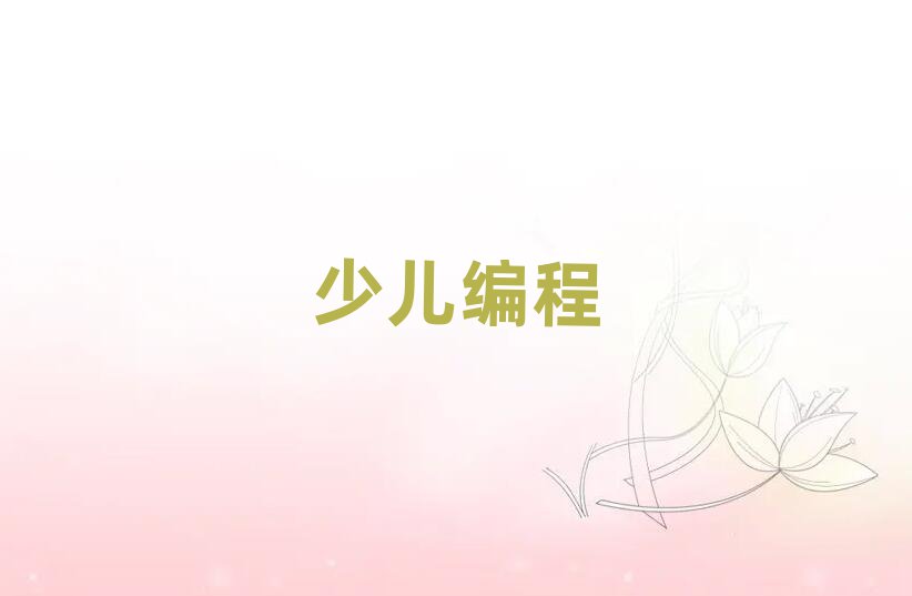 2020年武漢武昌區(qū)高中生編程2020年春季培訓(xùn)班