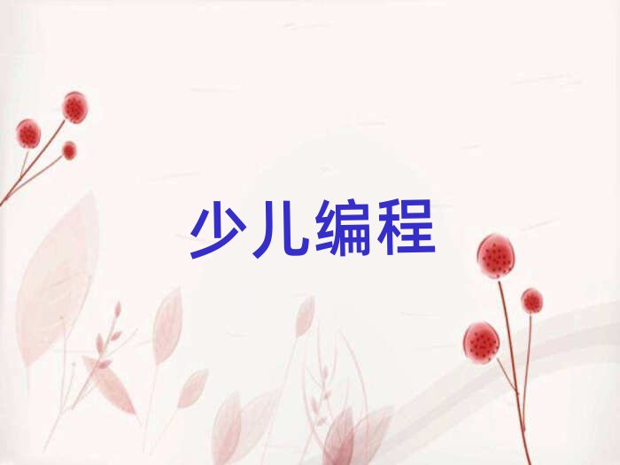 武漢少兒編程培訓學校