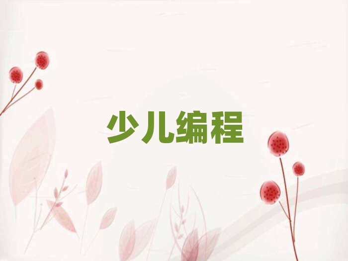 武漢少兒編程培訓學校