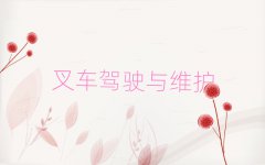 2025uW(xu)satҪL(zhng)r(sh)g