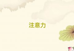 oaI(y)ͯעӖ(xn)Ӗ(xn)X