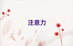 2025hõăͯעӖ(xn)W(xu)У