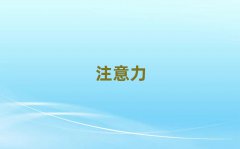 2025ꖌW(xu)ͯעӖ(xn)ҪX