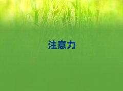 2024hW(xu)עӖ(xn)W(xu)M(fi)X(qin)
