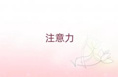 2025V󞳅^(q)W(xu)كעӖ(xn)