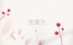 |ݸW(xu)كע