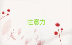 2024W(xu)(x)كע