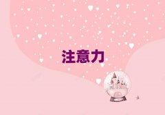 2025Ϻt^(q)W(xu)ͯעӖ(xn)W(xu)