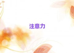 Ѕ^(q)עӖ(xn)W(xu)