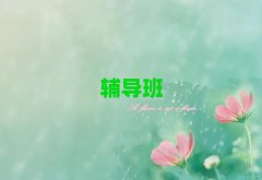 2025ꖳZo(do)r