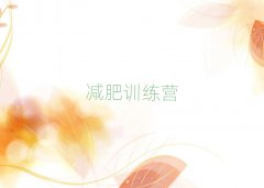 2025Bd]ʽpӖ(xn)I(yng)X(qin)