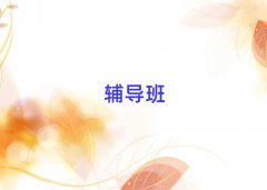 _Д(sh)W(xu)(yu)
