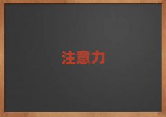 2025Ͼˮ^(q)W(xu)ͯӰYmӖ(xn)ʮ(qing)