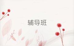 ϾZo
