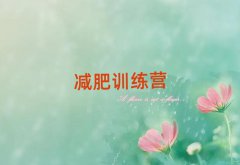 2025BdӖIpʶX
