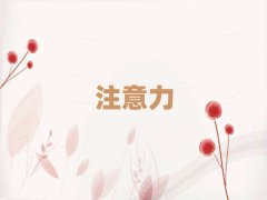 t^(q)ʮͯ(dng)YmW(wng)nӖ(xn)ƽ_(ti)ι