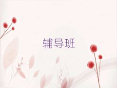ˇg(sh)I(y)мӖC(gu)ǰʮγt