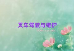ǰʮİcӋӖ(xn)C(gu)γt
