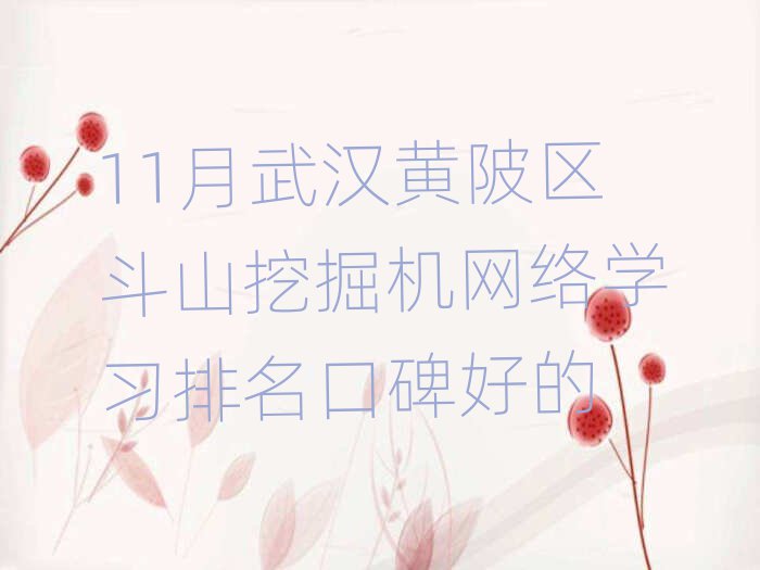 11hS^(q)ɽھC(j)W(wng)j(lu)W(xu)(x)ڱõ