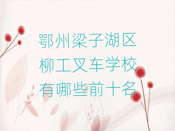 Ӻ^(q)܇W(xu)УЩǰʮ