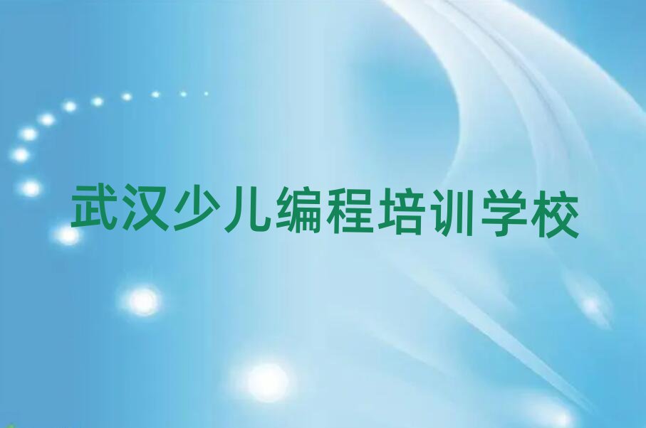 武漢少兒編程培訓(xùn)學(xué)校